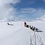 Lyngenfjord *