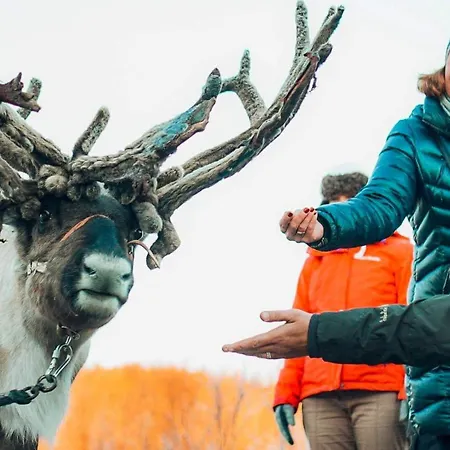 Lyngenfjord ホテル *