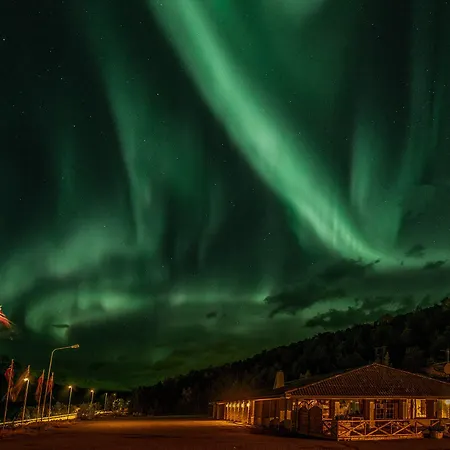 Lyngenfjord シーボットン